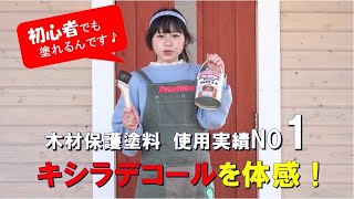 キシラデコール「製品プロモーション」