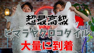 【VLOG】ヘンローン社にフルオーダーした新進オリジナルの超ハイクオリティのヒマラヤクロコダイルが降臨！【レザークラフト】【ハンドメイド】