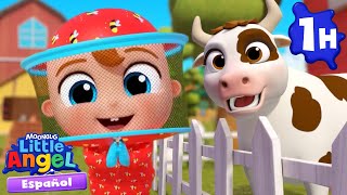 Bebé Juan visita la granja 🐄🐷 | Canciones Infantiles con Bebé Juan🎵| Little Angel Español