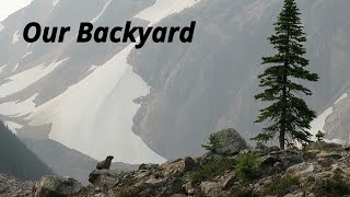 Hiking Mount Edith Cavell In The Canadian Rocky Mountains