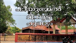 Menoottu | Payummel Sathrughnan Temple | Meenoottupadu | Payammal Sree Shathruknha swaamee Temple