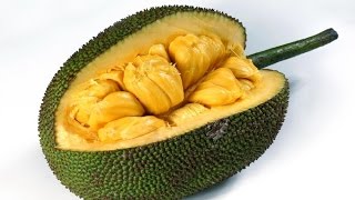 Jack fruit review