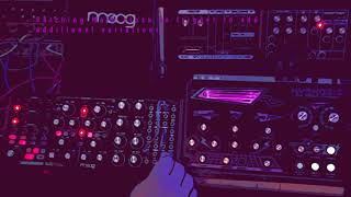 Moog Subharmonicon Chill Jam and Unboxing (with Dreadbox Hypnosis)