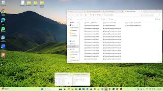 Java Selenium Framework 05a – Advanced Sortable Grid Testing with DOM Workarounds