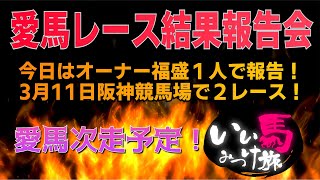 【競馬・馬主・リモート生配信】愛馬結果報告会❗️次走予定‼️