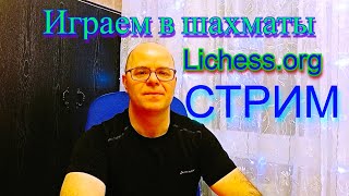 Стрим. Турнир по шахматам на lichess.org.