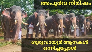 അപൂർവ നിമിഷം ഗുരുവായൂർ ആനകൾ ഒരുമിച്ചപ്പോൾ 😳😳#elephantattack #thrissur #elephant #kerala