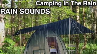 Camping In Heavy Rain.! Forest, Tent, Rainstorm