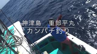 神津島　カンパチ釣り