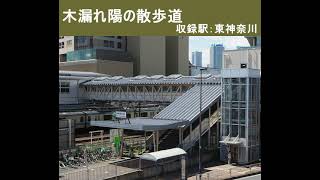 ＜JR東日本 発車メロディー＞木漏れ陽の散歩道