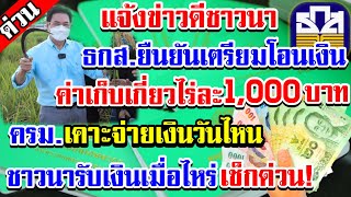 ข่าวดี!ธกส.แจ้งความคืบหน้าจ่ายเงินค่าปรับปรุงพัฒนาคุณภาพข้าวไร่ละ1,000บาทชาวนารับเงินวันไหน(15พ.ย.64