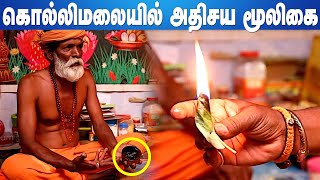 கொல்லி மலையில் இன்றும் நடக்கும் அதிசயம் | கொல்லி மலை சித்தர் | கொல்லி மலை மர்மம் | அகத்தியர் |மூலிகை