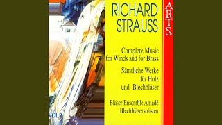 Festmusik Der Stadt Wien Für Blechblasinstrumente Und Pauken, Op. AV133 (Strauss)