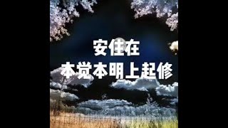 201804 安住在本觉本明上起修20869