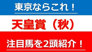 【連覇か！？それとも今の勢いか！？】天皇賞（秋）注目したい２頭を徹底解説！アーモンドアイに死角はあるのか！？