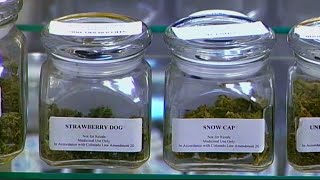 First round of recreational cannabis business license applications open in Maryland