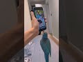 胖胖也太太太太太太可爱了🥰🥰🥰 小鸟互动 搞笑 pets birds parrot animals cute funny 治愈 shorts