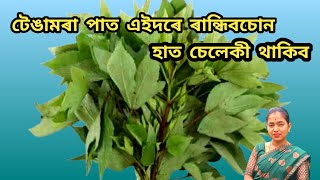 টেঙামৰা পাত এইদৰে ৰান্ধিবচোন/বাৰে বাৰে খাব মন যাব/Rosella Leaf Recipe/Tengamora pator recipe