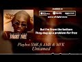 Playboi SMK - Untamed ft AMB & MVK (Official Lyric Video)