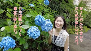 日中国際カップル。鎌倉デート。妙法寺(苔寺),鶴岡八幡宮。