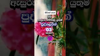 ඔයා ඉන්නෙත් මෙහෙම අයත් එක්කද ? #shortvideo #shorts