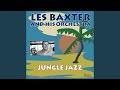 Congo Train (Bonus Track)