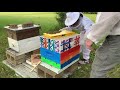 cora s bees how to add a super to a new hive inspection 2 beginner beekeeper tutorial