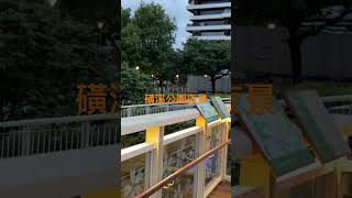 臺北市石牌磺溪公園美景盡收眼底