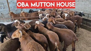 OBA mutton house in Hyderabad | live mutton meat available with home delivery in Hyderabad