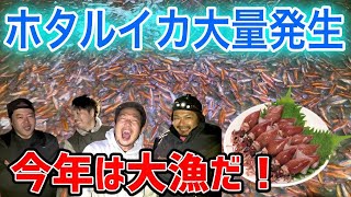 ホタルイカ爆沸き（2024年糸魚川市）まいろ船長とアイムハルと