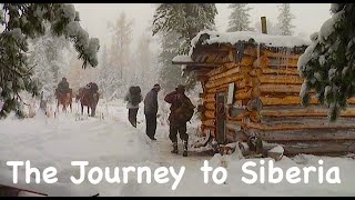 The Journey to Siberia / Bushcraft in Siberia / Wild cedar forests / Bears and Chipmunks