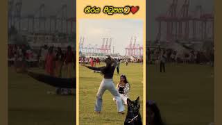 මොනා වුනත් නැටුම් දන්න කෙල්ලෙක්❤🌼 #shorts #dance #tiktok