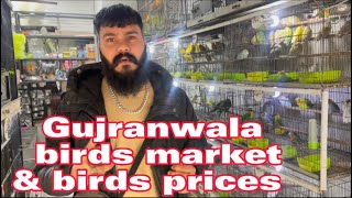 Gujranwala birds market prices at JB birds shop 10 January 2023