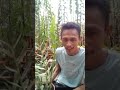 didi anggrek sedang live santai sambil ngopi