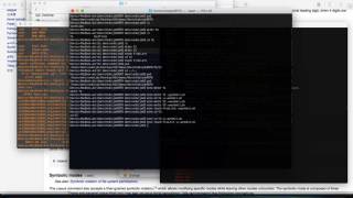 Simple Shell Script (and Echo)