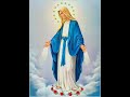 31-5-2023 | CAPUCHIN TV LIVE | Feast of the Visitation of the Blessed Virgin Mary