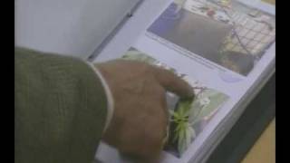 Rikosraportti - Kannabisviljelmä Hattulassa 2001