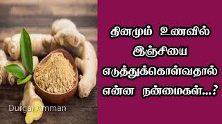 தினமும் உணவில் இஞ்சியை எடுத்துக்கொள்வதால் என்ன நன்மைகள்