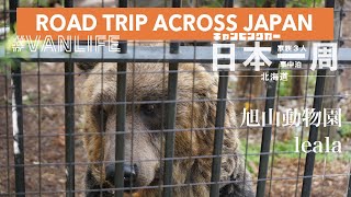 #11  -旭川-　旭山動物園とLife style store Leala