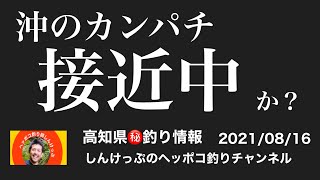 【高知県㊙️釣り情報】そろそろネイリからカンパチに！あと２キロ、泳いできて〜（笑）