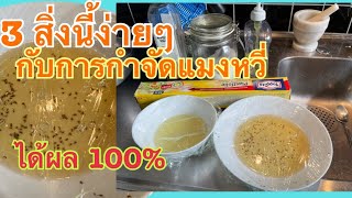 วิธีกำจัดแมลงหวี่ได้ผล100%#กวนใจวิธีทำลาย#วิธีกำจัด#katai Mom Story sweden