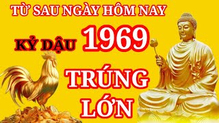 Sách Tử Vi Ghi Rõ, Từ Sau Ngày Hôm Nay. Kỷ Dậu 1969 Làm Đâu Trúng Đó, Tiền Vào Như Nước.