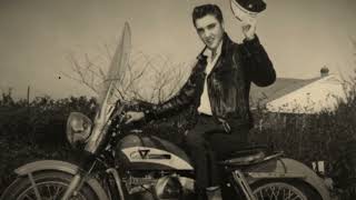 The Untold TRUTH of Harley Davidson. #harleydavidson #harleydavidsonlife #motorcycle