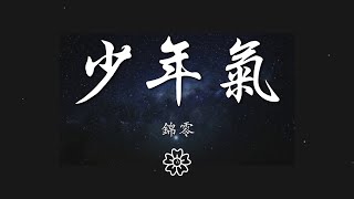 錦零 - 少年氣『你我少年性 偏愛紅塵煙火氣』【動態歌詞Lyrics】