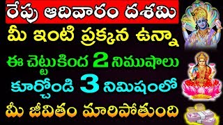 రేపు ఆదివారం దశమి మీ ఇంటి ప్రక్కన ఉన్నా ఈ చెట్టుకింద 2 నిముషాలు కూర్చోండి మీ జీవితం మారిపోతుంది