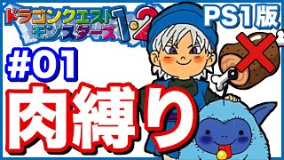 #1【テリワン】肉縛りで最強のモンスターマスター目指す【PS1版】