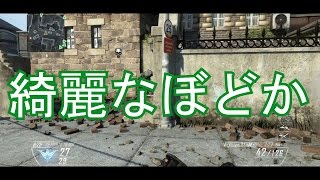 【BO2実況】きれいなボドカ