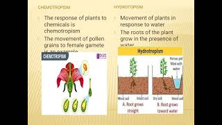 tropic and nastic movements#physiology#botany#plants 🌱🌱