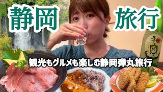 【静岡】地元民に聞いたおすすめを巡る静岡旅行VLOG！子供から大人まで楽しめるスポットを紹介します！静岡市｜富士宮市｜道の駅｜白糸の滝