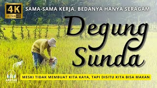 SAMA SAMA KERJA, BEDANYA HANYA SERAGAM - DEGUNG SUNDA FULL RELAKSASI SAWAH